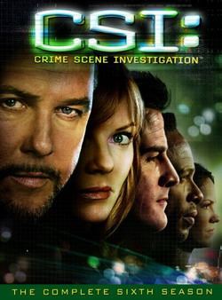 C.S.I.  .  6 - CSI: Crime Scene Investigation. Season VI