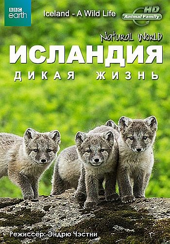 BBC: Мир природы. Исландия: Дикая жизнь - Natural World. Iceland a Wild Life