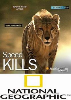 Nat Geo Wild:   - Queen of the chase