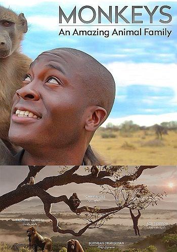 Обезьяны - Удивительное семейство животных - Monkeys вЂ“ An Amazing Animal Family