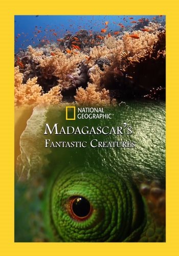 Фантастические существа Мадагаскара - Madagascar's Fantastic Creatures