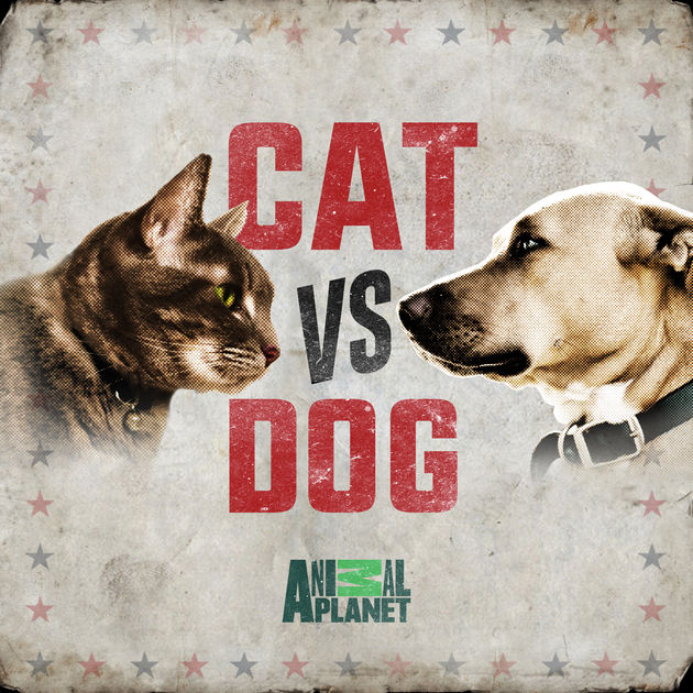  :    - Ultimate rivals. Cat v. Dog