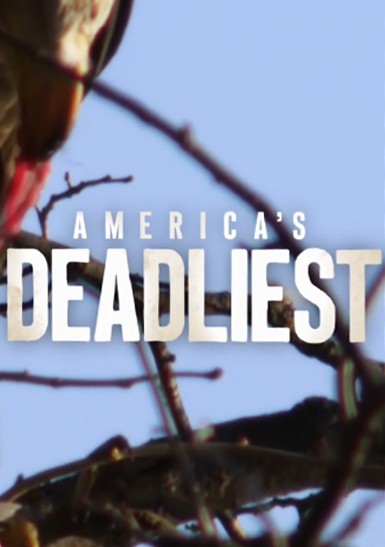 Самые опасные животные Америки - America°s deadliest