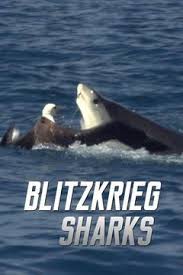 Молниеносные акулы - Blitzkrieg sharks