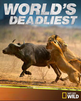 Самые опасные убийцы - World°s deadliest