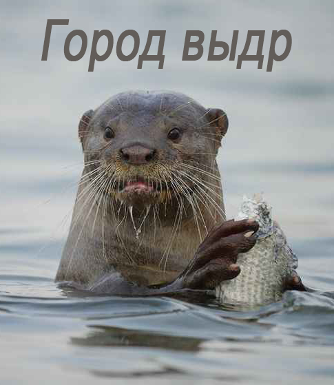 Город выдр - Otter town