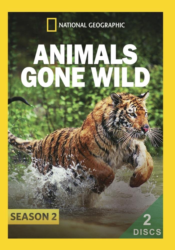 Животные без правил - Animals Gone Wild