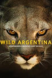   .   - Wild Argentina. The Killer Coast