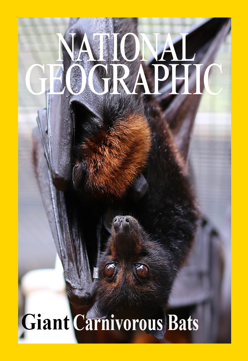 Гигантские плотоядные летучие мыши - Giant Carnivorous Bats