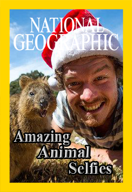 Удивительные селфи животных - Amazing Animal Selfies