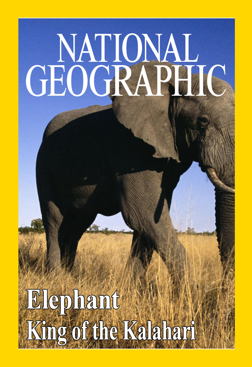 Слон: Король Калахари - Elephant. King of the Kalahari