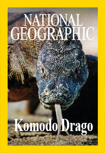 Драконы Комодо - Komodo Drago