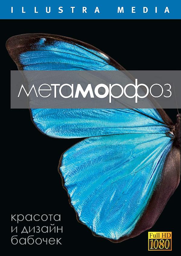 Метаморфоз - Metamorphosis