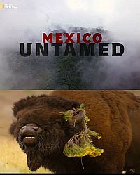 Непокорная Мексика - Mexico Untamed
