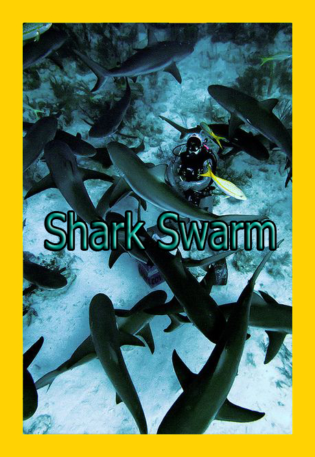   - Shark Swarm