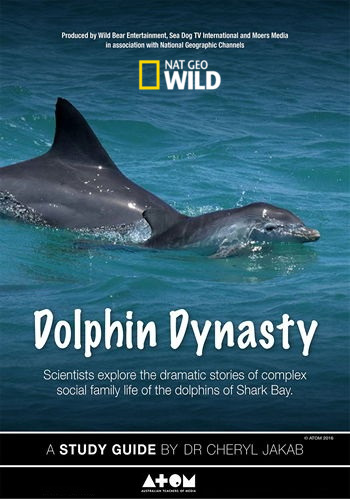   - Dolphin Dynasty