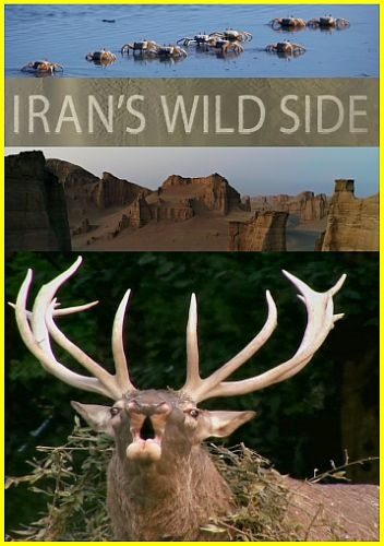 Дикие места Ирана - Iran°s Wild Side