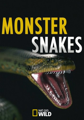 - - Monster Snakes