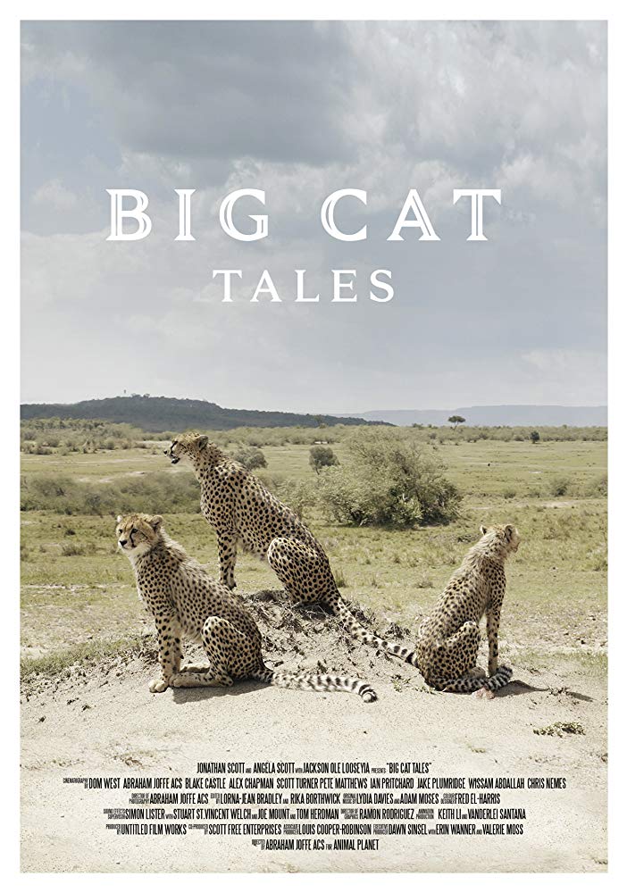    - Big Cat Tales