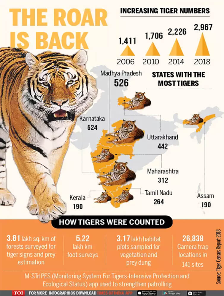 Каждый тигр на счету - Counting Tigers