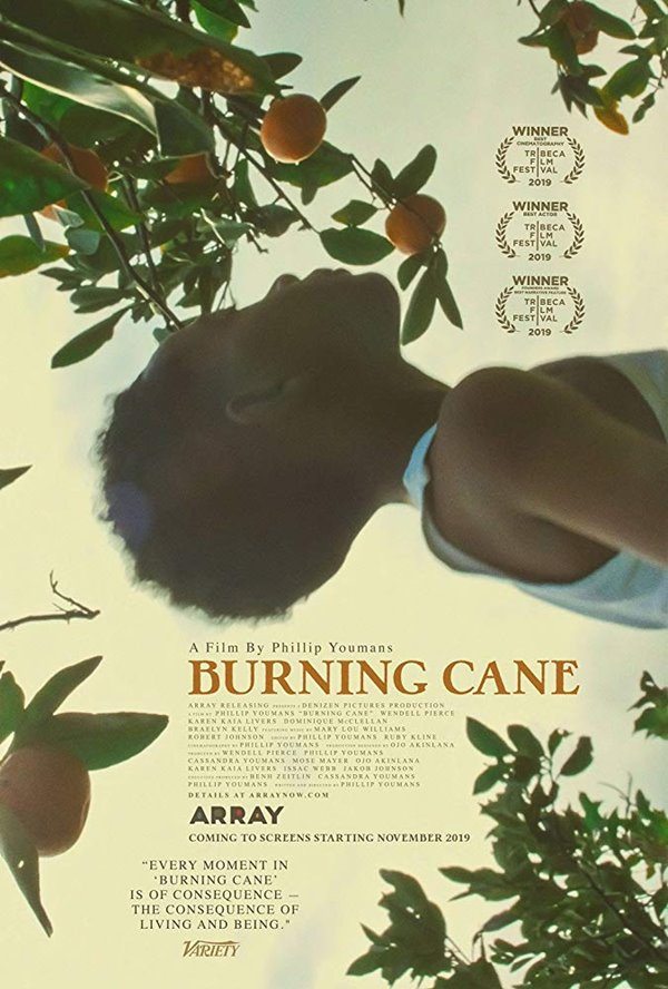 Горящий тростник - Burning Cane