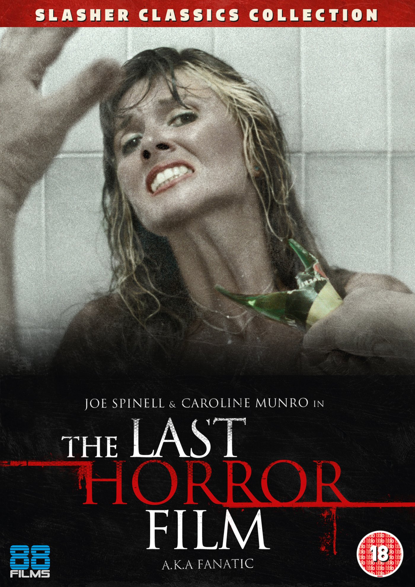    - The Last Horror Film
