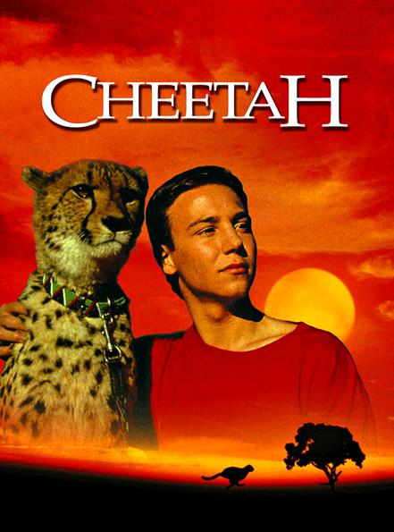 Гепард - Cheetah