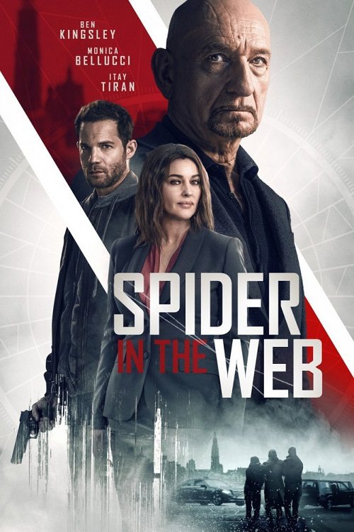    - Spider in the Web