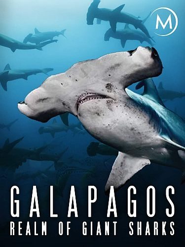 Галапагос. Царство гигантских акул - Galapagos- Realm of Giant Sharks