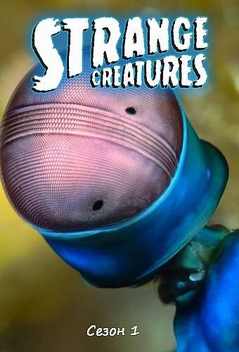 Странные существа - Strange Creatures