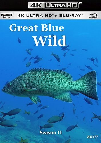 Великие океаны - Great Blue Wild