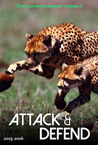 Атака и защита - Attack and Defend
