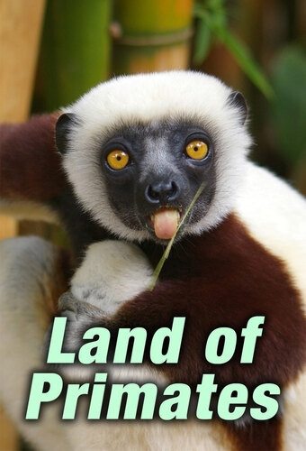 Земля приматов - Land of Primates