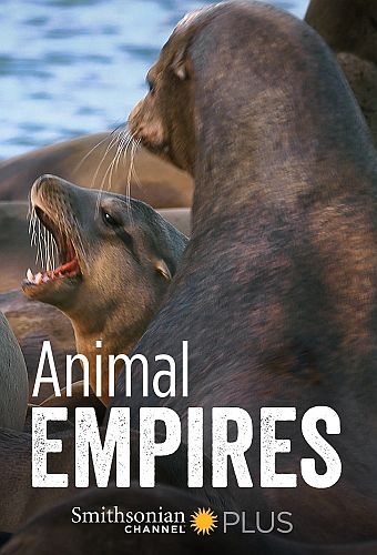 Животные империи - Animal Empires