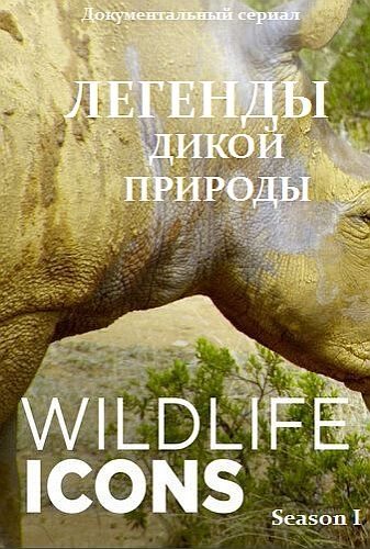 Легенды - Wildlife Icons