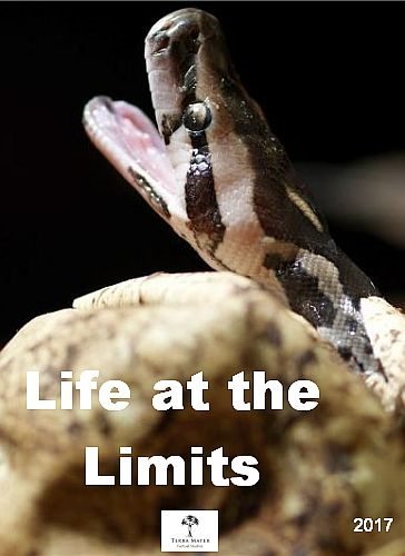 Жизнь на грани - Life at the Limits