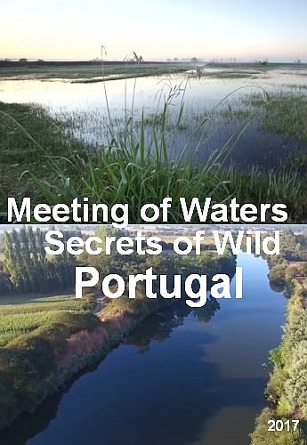 Слияние рек. Секреты дикой природы Португалии - A Meeting of Waters - Secrets of Wild Portugal