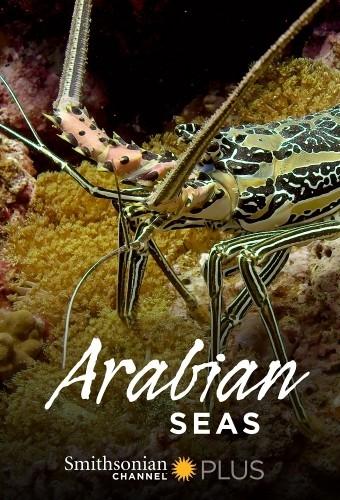 Моря Аравийского полуострова - Arabian Seas