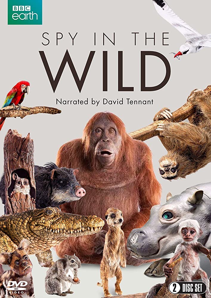 BBC: Шпионы в дикой природе - Spy in the Wild