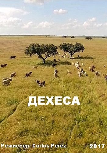 Дехеса - Dehesa