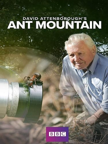 Муравьиная гора с Дэвидом Аттенборо - David Attenborough°s Ant Mountain