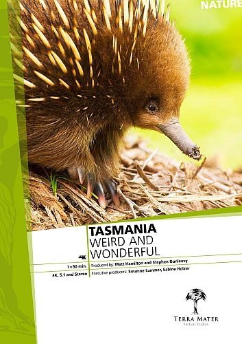 Тасмания: удивительная и прекрасная - Tasmania вЂ“ Weird and Wonderful