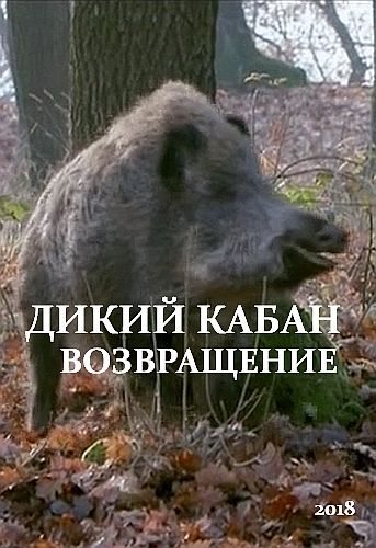 Дикий кабан. Возвращение - Wild Boars. The Comeback