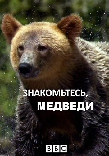 Знакомьтесь: медведи - Meet the Bears