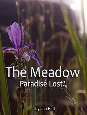 .   - The Meadow - Paradise Lost