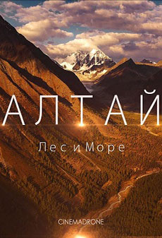 Алтай. Лес и море  