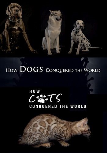 Как собаки и кошки захватили мир - How Dogs And Cats Conquered The World