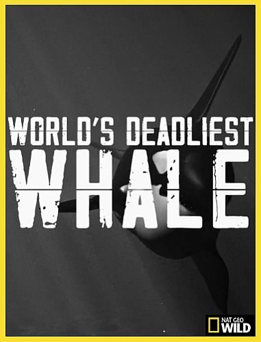 Самый смертоносный кит - World°s Deadliest Whale