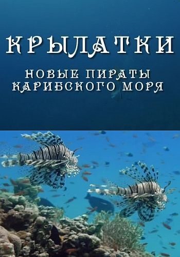 Крылатки - новые пираты Карибского моря - Lionfish- New Pirates of the Caribbean