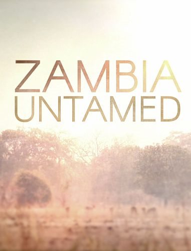 Неукротимая Замбия - Zambia Untamed